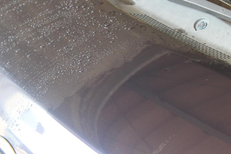 親水コーティング