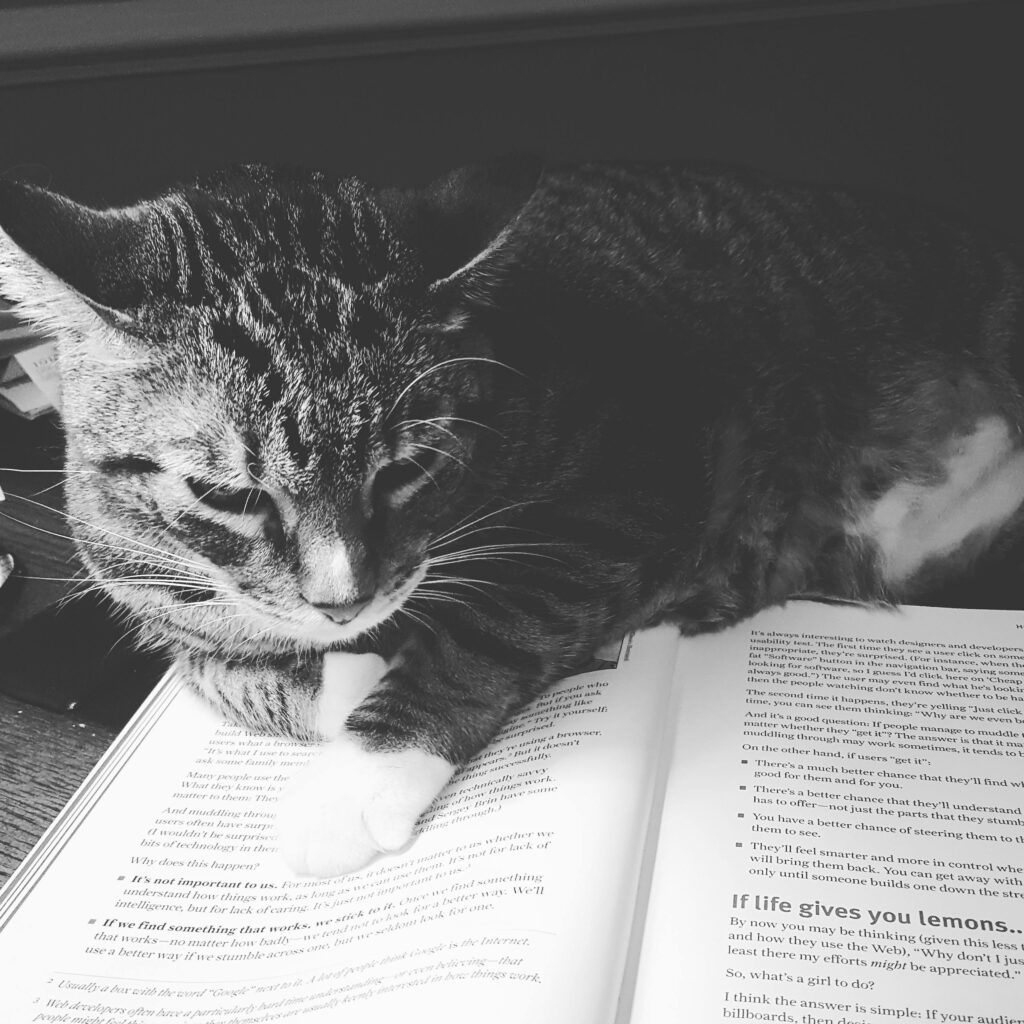 A cute tabby cat comfortably resting on an open book, captured in timeless black and white.